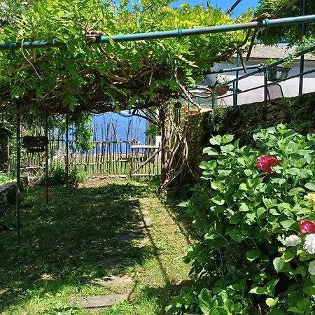 Il Gattonero Ubytování v soukromí *