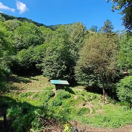 Privat bolig La Stanza Del Bosco *